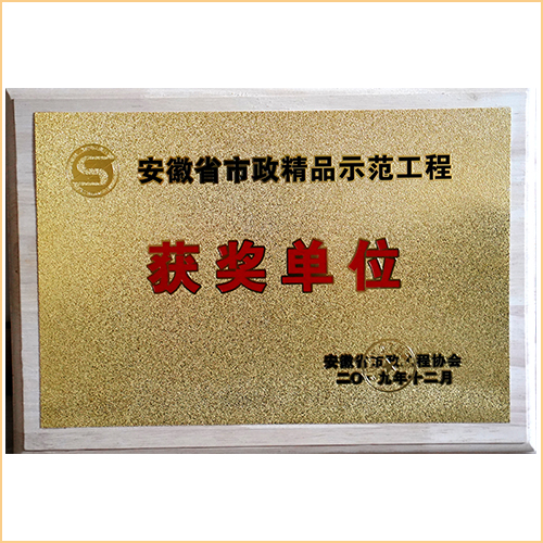 2019安徽省市政精品示范工程獲獎單位 