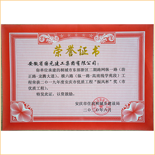 2019桐城市東部新區(qū)二期路網(wǎng)縱一路（坊正路-龍騰大道）、橫六路（縱一路-高南線學(xué)苑段）振風(fēng)杯 